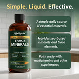 Wellgenix Sea Essentials Vital Nutrients - Multivtamina líquida de...