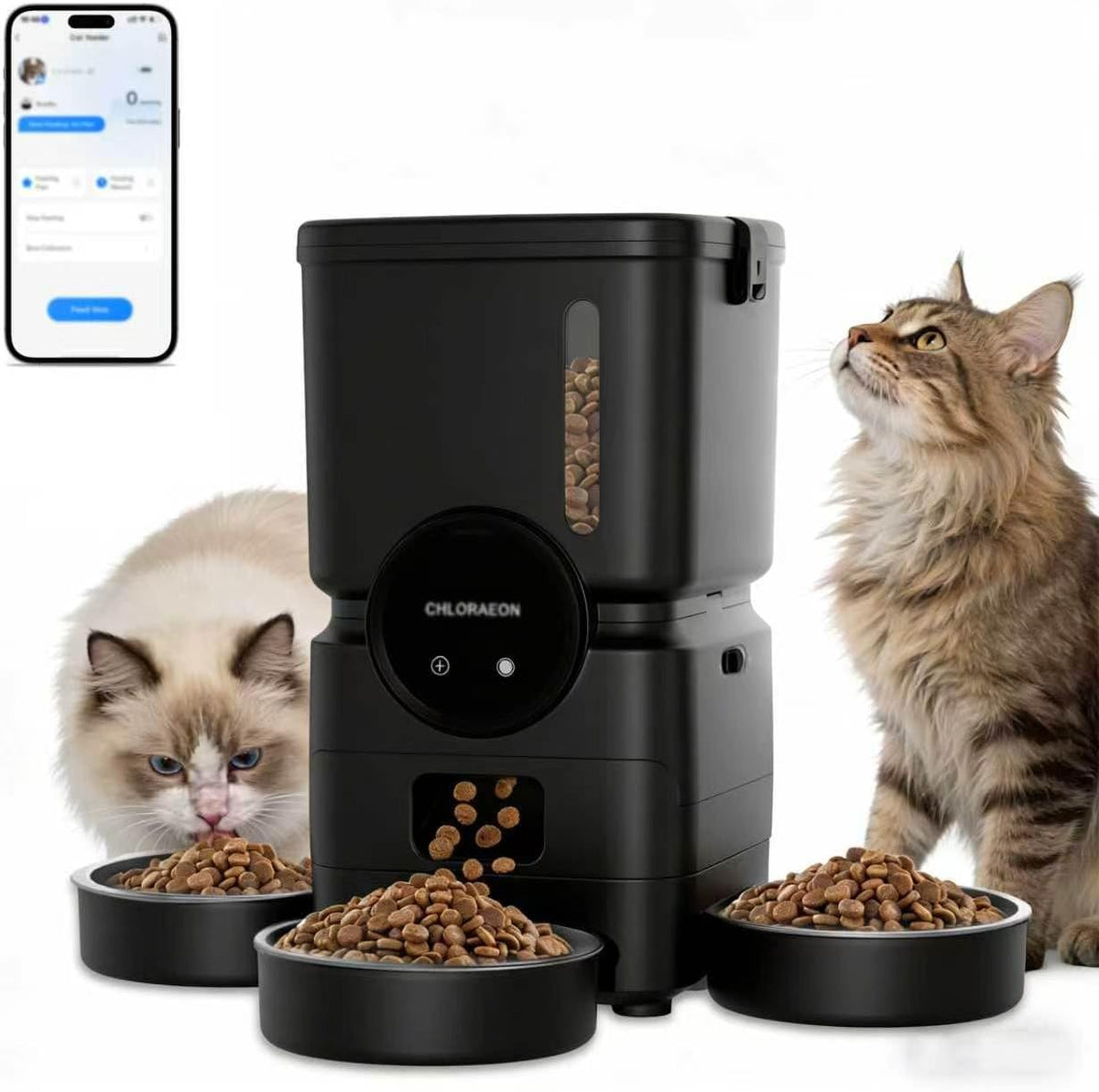 Alimentador automático para gatos para 3 gatos, dispensador de alimentación