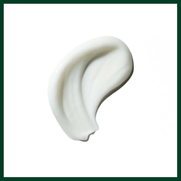 Aveda Be Curly Advanced Curl Enhancer Hair Cream | Defines Curly an...
