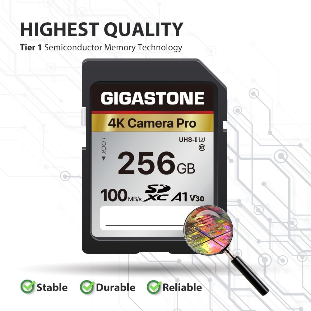 Recuperación de datos gratuita de 5 años: tarjeta SD GIGASTONE de 256 GB, cámara 4K Pro, tarjeta de memoria SDXC UHS-I A1 V30, velocidad de video 4K UHD de hasta 170 MB/s compatible con cámara digital