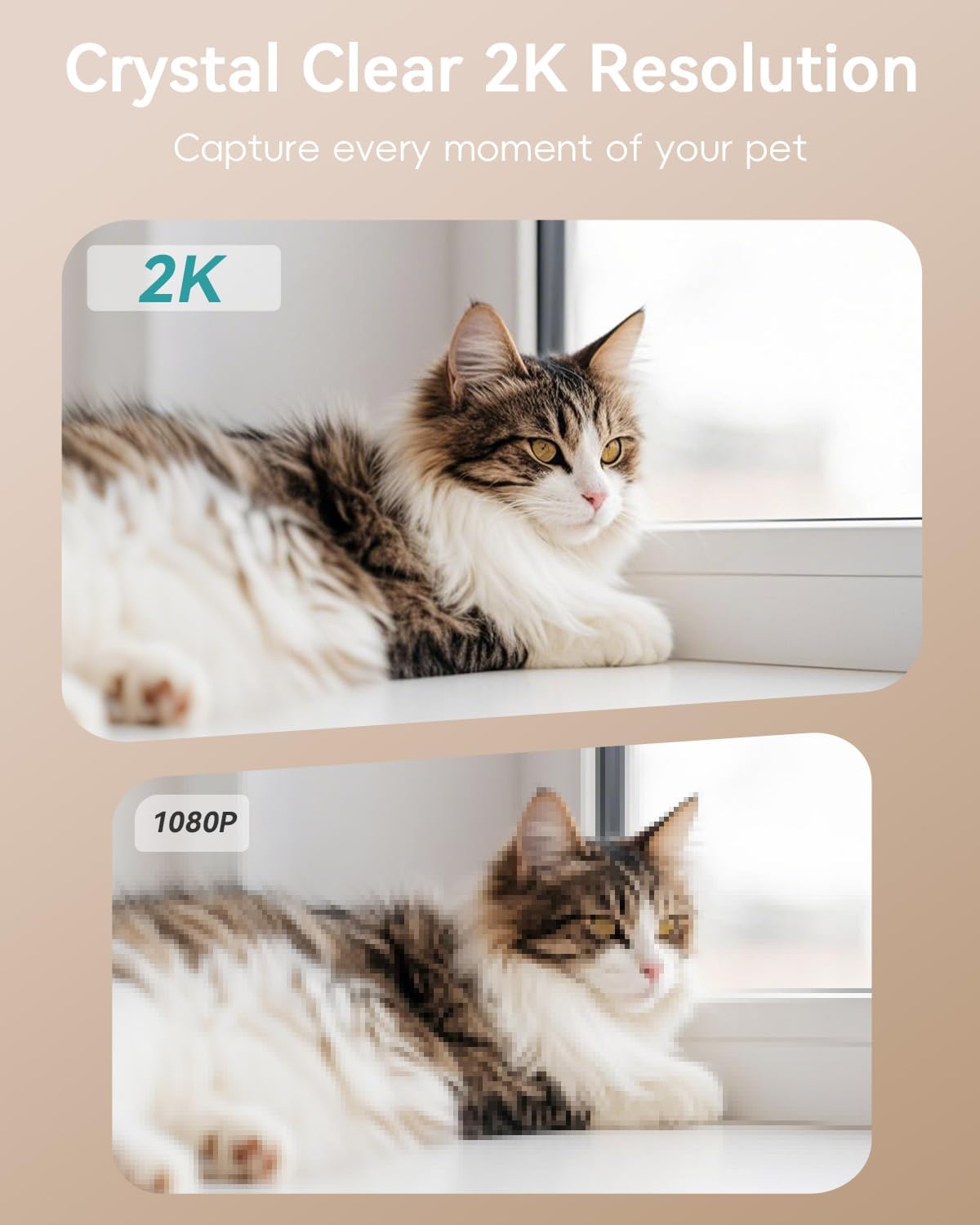 ZUMIMALL Cámara para mascotas con juguete láser, cámara WiFi 2K para perros