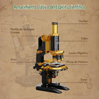 PANTASY - Kit de construcción de microscopio retro con acabado de latón antiguo para adultos