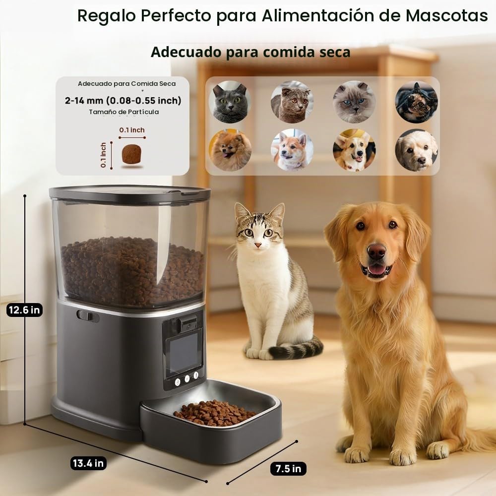 Alimentador automático para gatos con cámara de video bidireccional