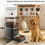 Alimentador automático para gatos con cámara de video bidireccional