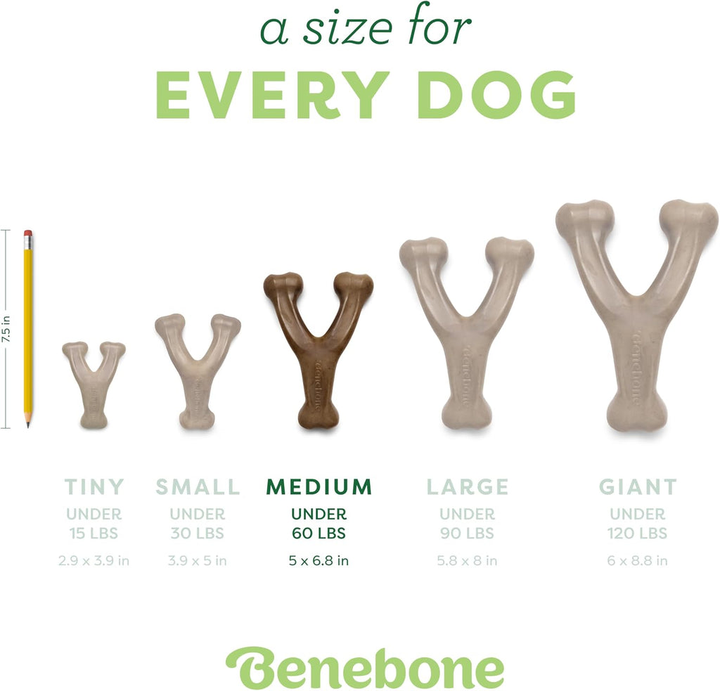 Benebone Paquete de 2 juguetes Wishbone para masticadores agresivos, tocino