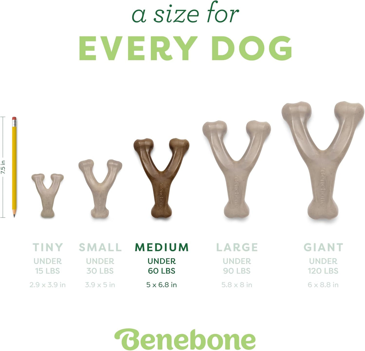 Benebone Paquete de 2 juguetes Wishbone para masticadores agresivos, tocino