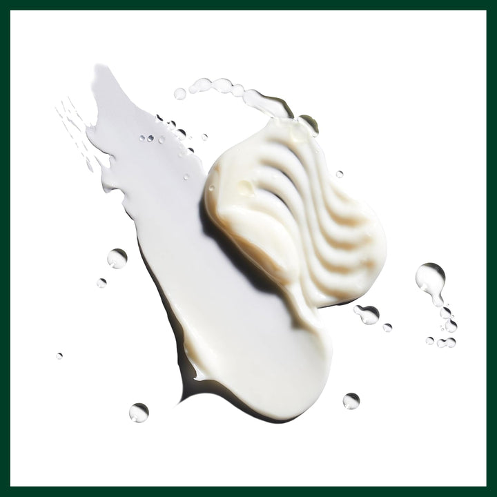 Aveda Nutriplenish Shampoo Deep Moisture | Rich Hydration for Mediu...