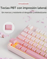 EWEADN V102 Teclados inalámbricos, teclado para juegos de 98 teclas...