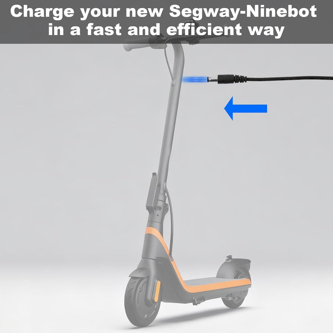 BTFO Cargador de scooter de 252 V para Ninebot compatible