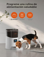WOPET Comedero automático para gatos de 6 litros, alimentador automático WiFi para perros con control de aplicación para alimentación remota, dispensador de comida para gatos con sensor de alimentos