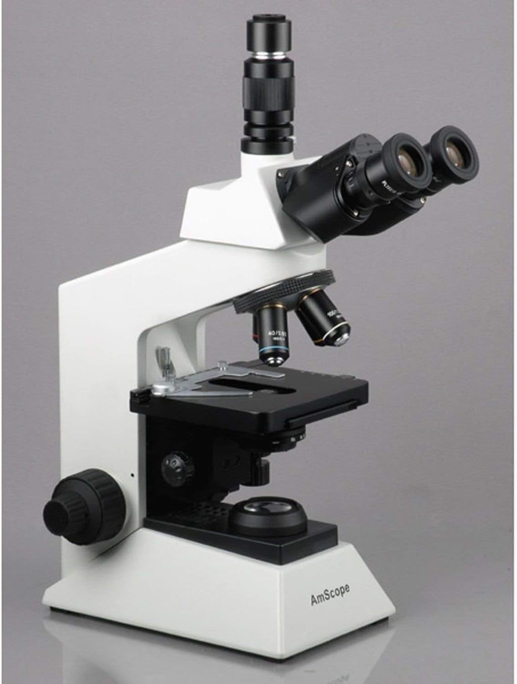 AmScope T580B-DK 2000X Profesional Darkfield Investigación Biológica