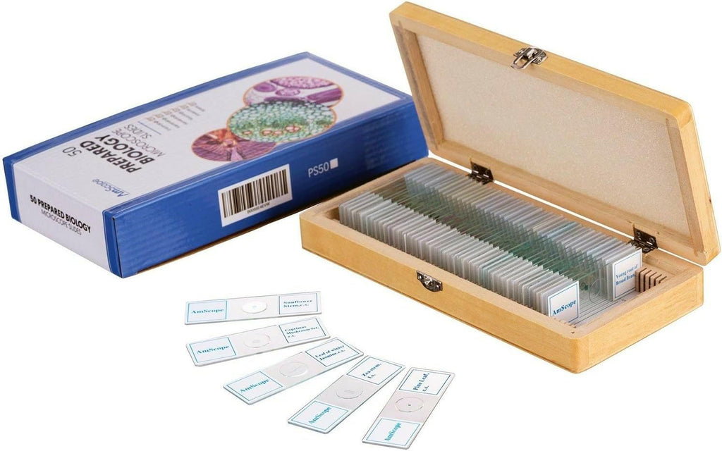 Microscopio AmScope PS50 preparado portaobjetos de set para Biológica Básica Ciencia Educación, 50 Diapositivas, incluye carcasa ajustable de madera