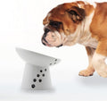 Necoichi - Cuenco elevado para comida para perros, inclinado 15° (perro, inclinado extraancho)