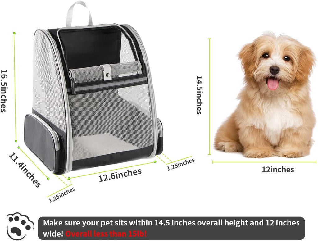 Texsens - Mochila para transporte de mascotas, con un innovador sistema de burbuja, ideal como transportín para gatos y perros (negro)