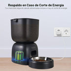 Alimentador automático para gatos y dispensador de agua FW1, dispensador de comida para gatos con cable o batería, temporizador, alimentador para mascotas con tapa de cierre, bolsa desecante, control