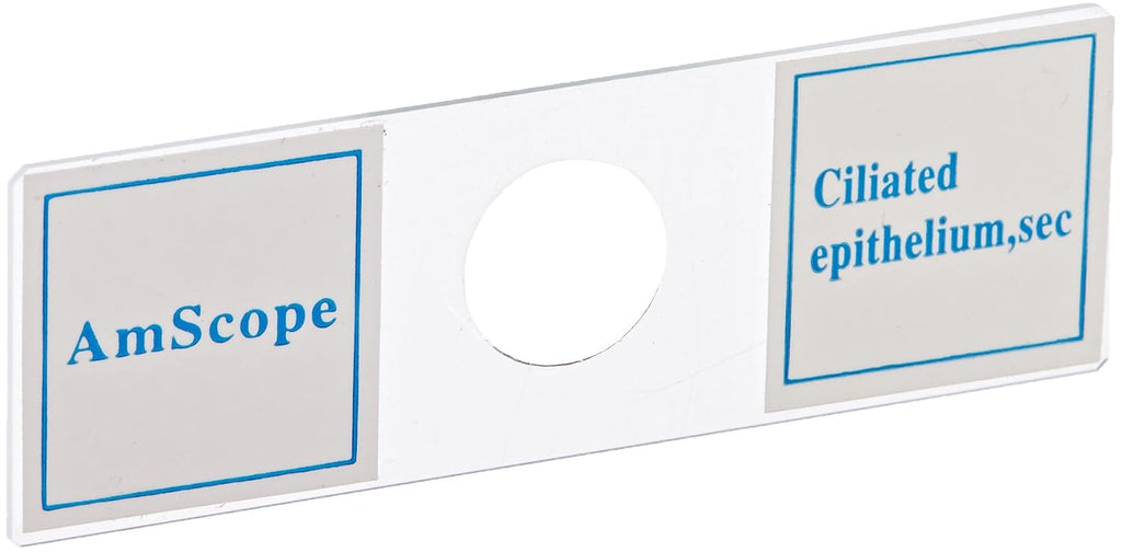 AmScope PS100A juego de diapositivas de microscopio preparado para educación básica de ciencias biológicas, 100 diapositivas, juego A, incluye caja de madera