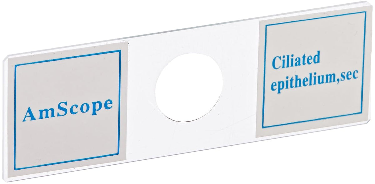 AmScope PS100A juego de diapositivas de microscopio preparado para educación básica de ciencias biológicas, 100 diapositivas, juego A, incluye caja de madera