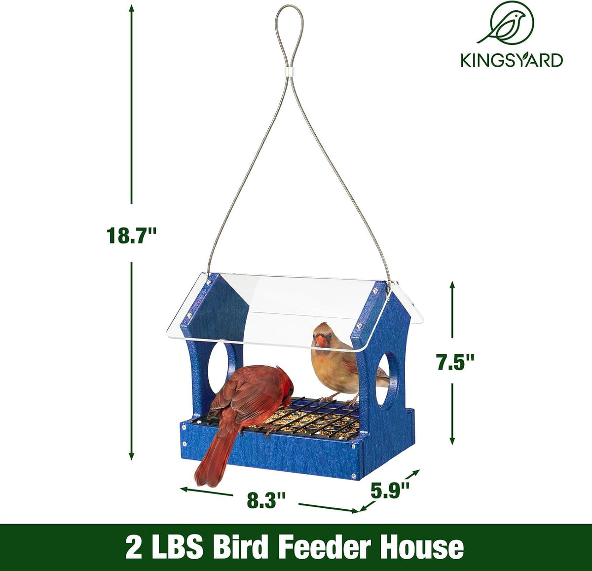 Kingsyard Comedero para pájaros con plataforma resistente a la lluvia para