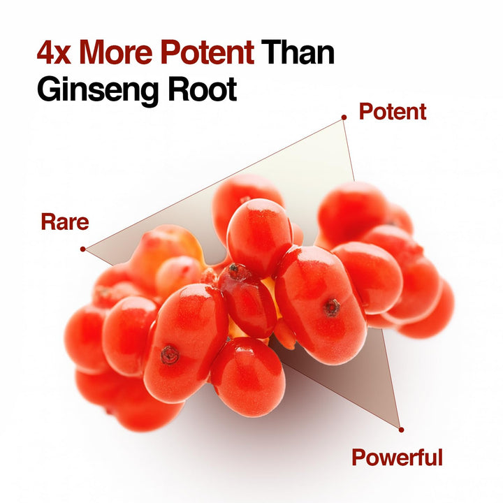 CLIV Ampolla Premium de Bayas de Ginseng, Ampolla Facial Nutritiva...