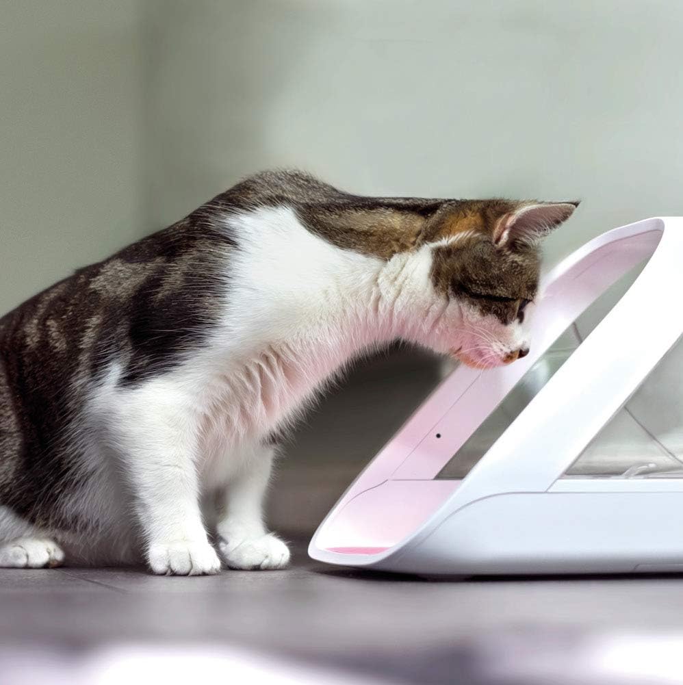 Alimentador para mascotas con microchip SureFeed Connect - Requiere concentrador (se vende por separado)