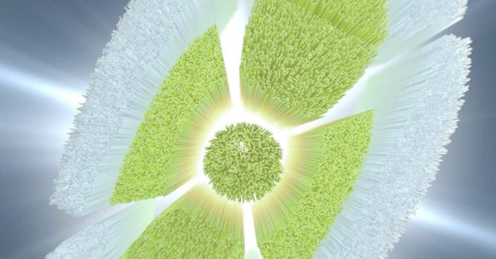 Philips Sonicare DiamondClean Cabezales de cepillo estándar 6 unida...