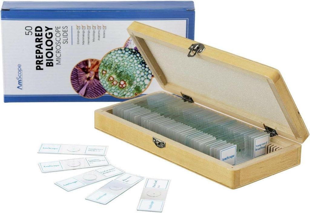 Microscopio AmScope PS50 preparado portaobjetos de set para Biológica Básica Ciencia Educación, 50 Diapositivas, incluye carcasa ajustable de madera