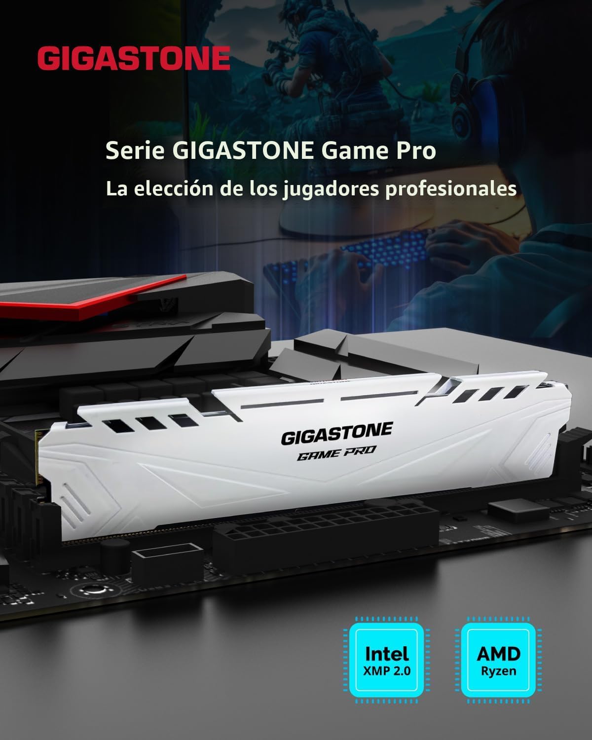 【DDR4 RAM】 GIGASTONE Game PRO Kit de 32 GB (2 x 16 GB) DDR4 3200 MH...