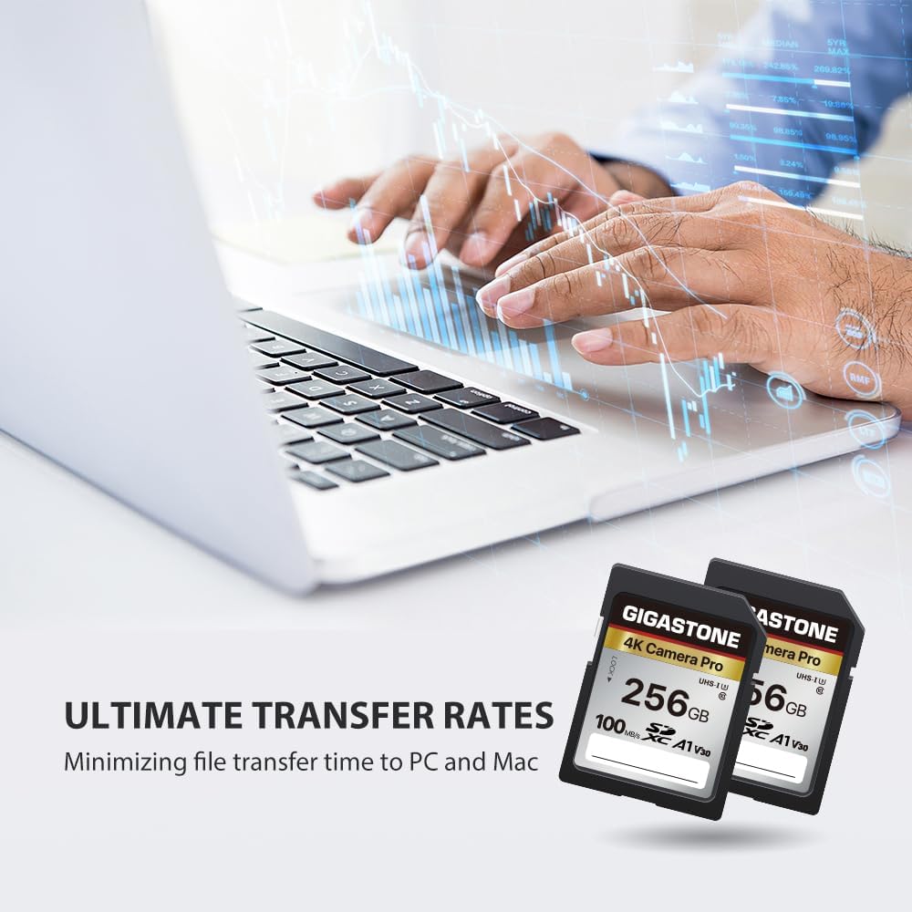Recuperación de datos gratuita de 5 años: tarjeta SD GIGASTONE de 256 GB, cámara 4K Pro, tarjeta de memoria SDXC UHS-I A1 V30, velocidad de video 4K UHD de hasta 170 MB/s compatible con cámara digital
