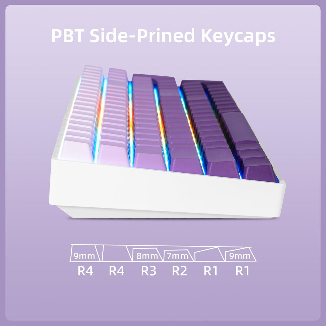 ZORNHER ZH100 Wireless Mechanical Keyboard,98% Purple Creamy Keyboa...