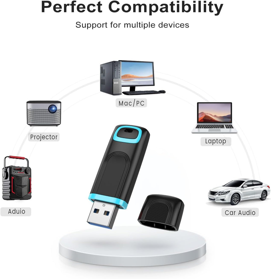 RAOYI 256GB USB 3.0 Unidad Flash Unidad de Pulgar Memoria Stick de...