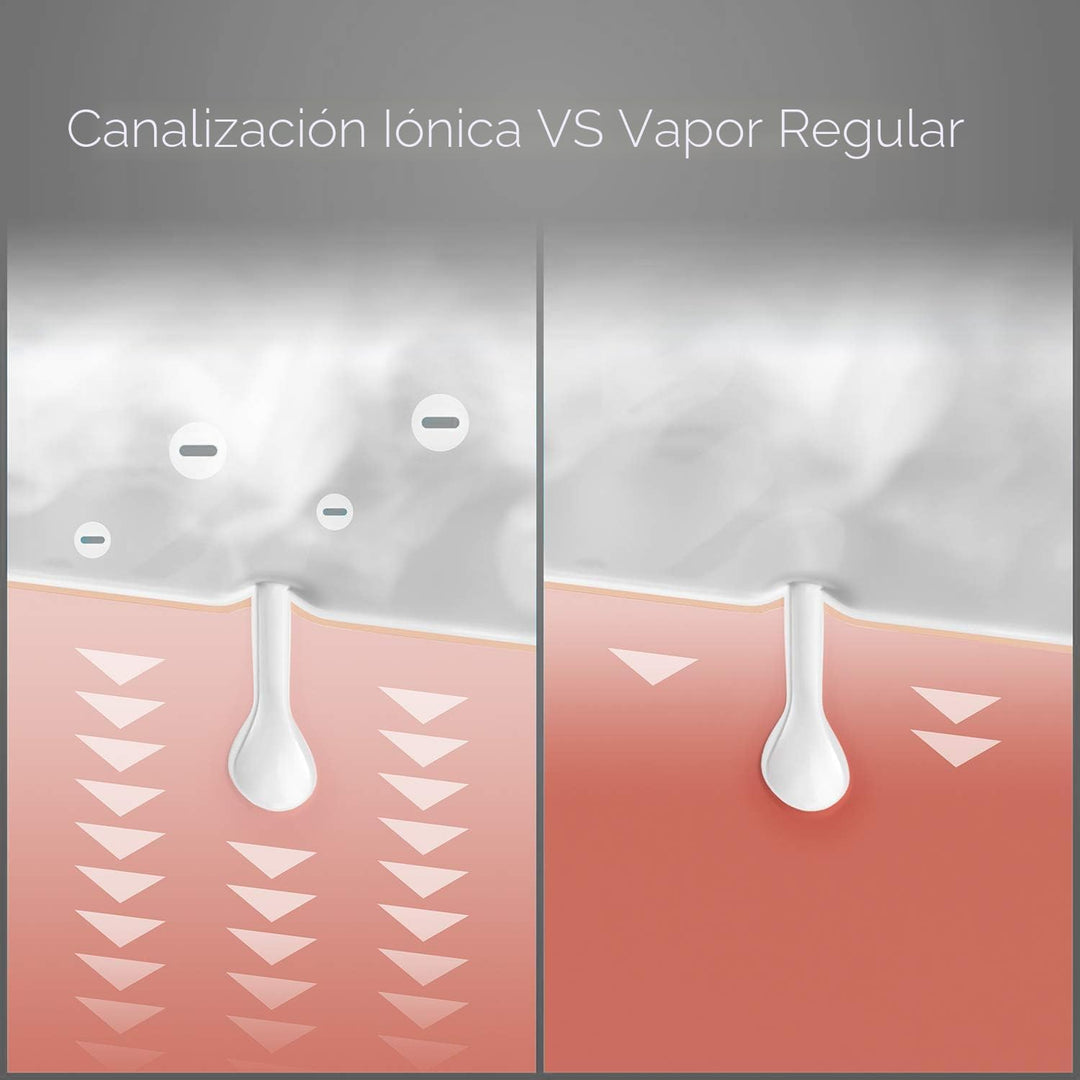 Pure Daily Care NanoSteamer - Vaporizador facial nano iónico grande...