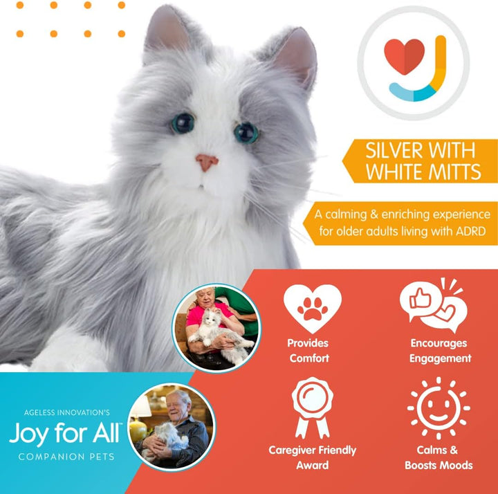 Entretenimiento para todos los gatos, B7594, 1