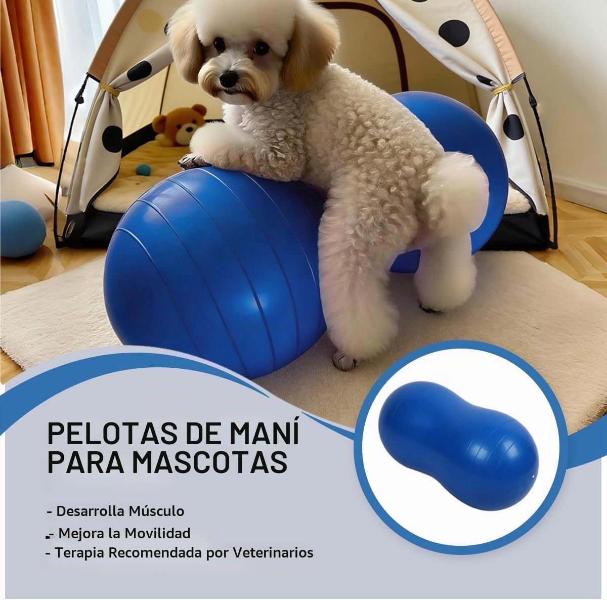 Pelota de cacahuete para perros para fitness y rehabilitación canina para razas pequeñas, medianas y grandes, equipo de ejercicio antiestallido para fortalecer el núcleo, entrenamiento de equilibrio, estabilidad de las piernas traseras (pequeño, para pier
