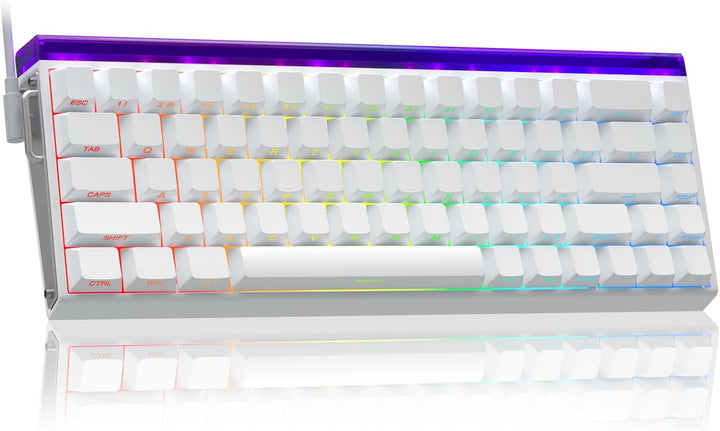 AULA Hero 68 HE 60% Teclado para Juegos con Cable, Teclado con Inte...