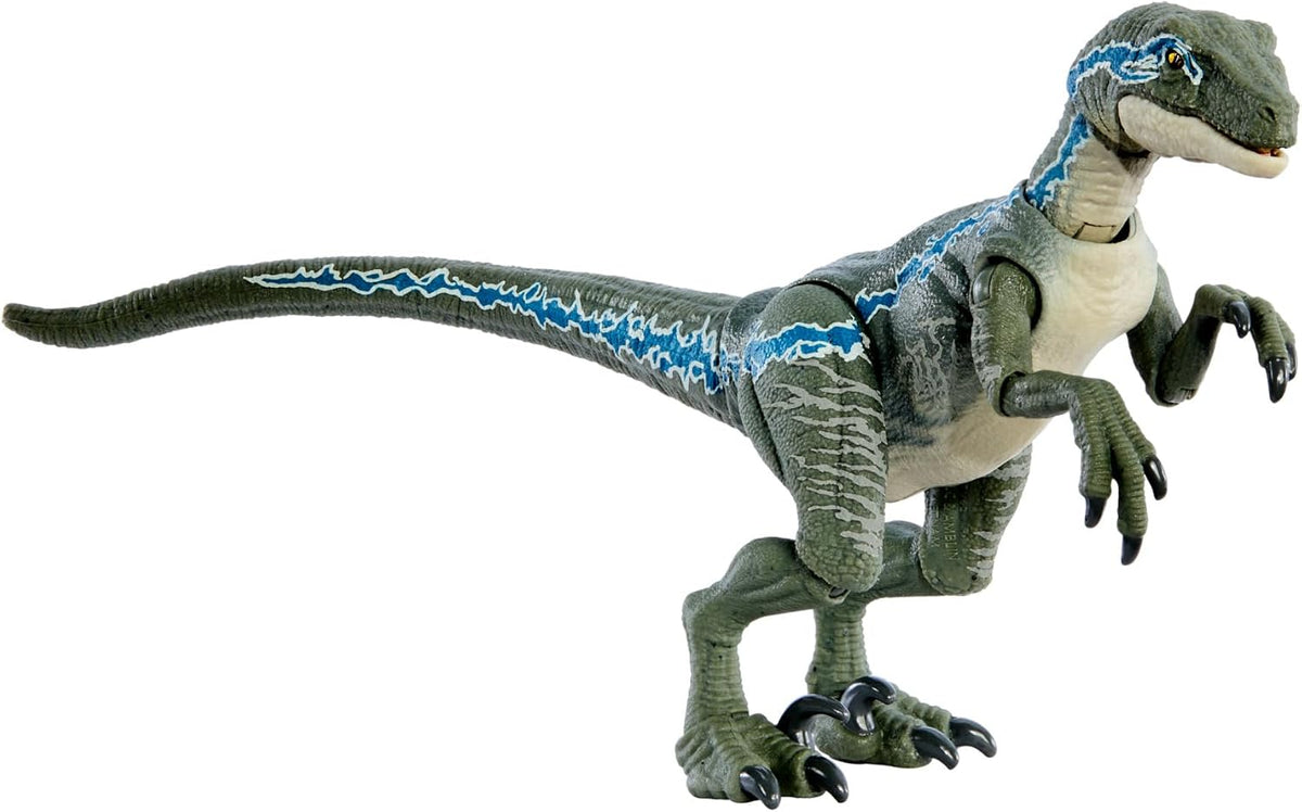 Mattel Jurassic World Hammond Collection - Figura de acción de dinosaurio, velociraptor 'azul' dinosaurio juguete con articulación