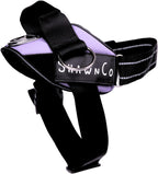 ShawnCo Essential Pro Arnés para Perros, Chaleco Anti-Tirones para Mascotas con 3 Clips para Correa y Parches Laterales Reflectantes Removibles, Arnés Ajustable y Acolchado para Perros Pequeños