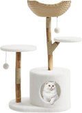 Garvee Torre de árbol de madera para gatos, interior y apartamento de mimbre natural con columna de captura de gatos y cama, marco de árbol estético