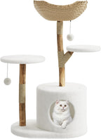 Garvee Torre de árbol de madera para gatos, interior y apartamento de mimbre natural con columna de captura de gatos y cama, marco de árbol estético