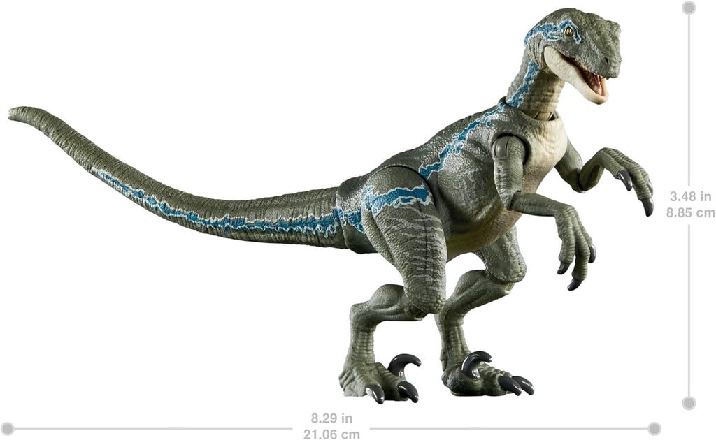 Mattel Jurassic World Hammond Collection - Figura de acción de dinosaurio, velociraptor 'azul' dinosaurio juguete con articulación