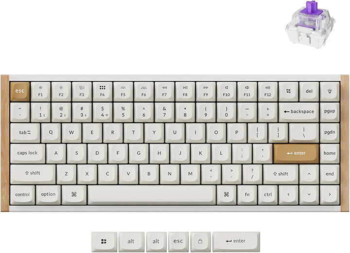 Teclado mecánico inalámbrico Keychron K2 HE Rapid Trigger con inter...