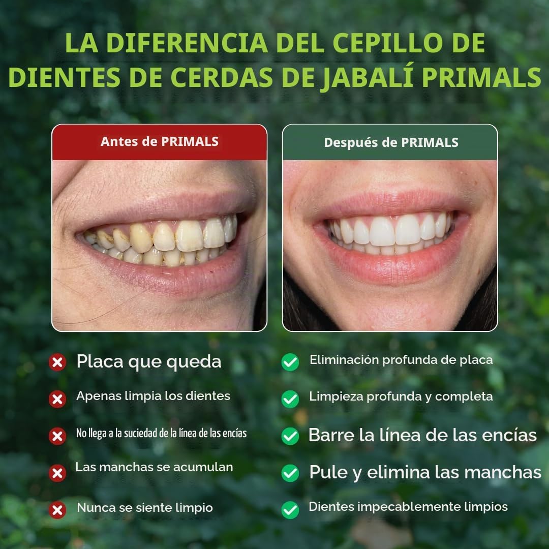 PRIMALS Cepillo de dientes de cerdas de jabalí y bambú (paquete de...