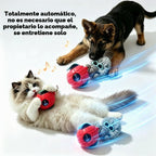 Nicoypole - Pelota de juguete automática inteligente para gatos y perros, juguete eléctrico interactivo recargable para mascotas, control remoto, pantalla LCD, canción de pájaro integrada, juego de
