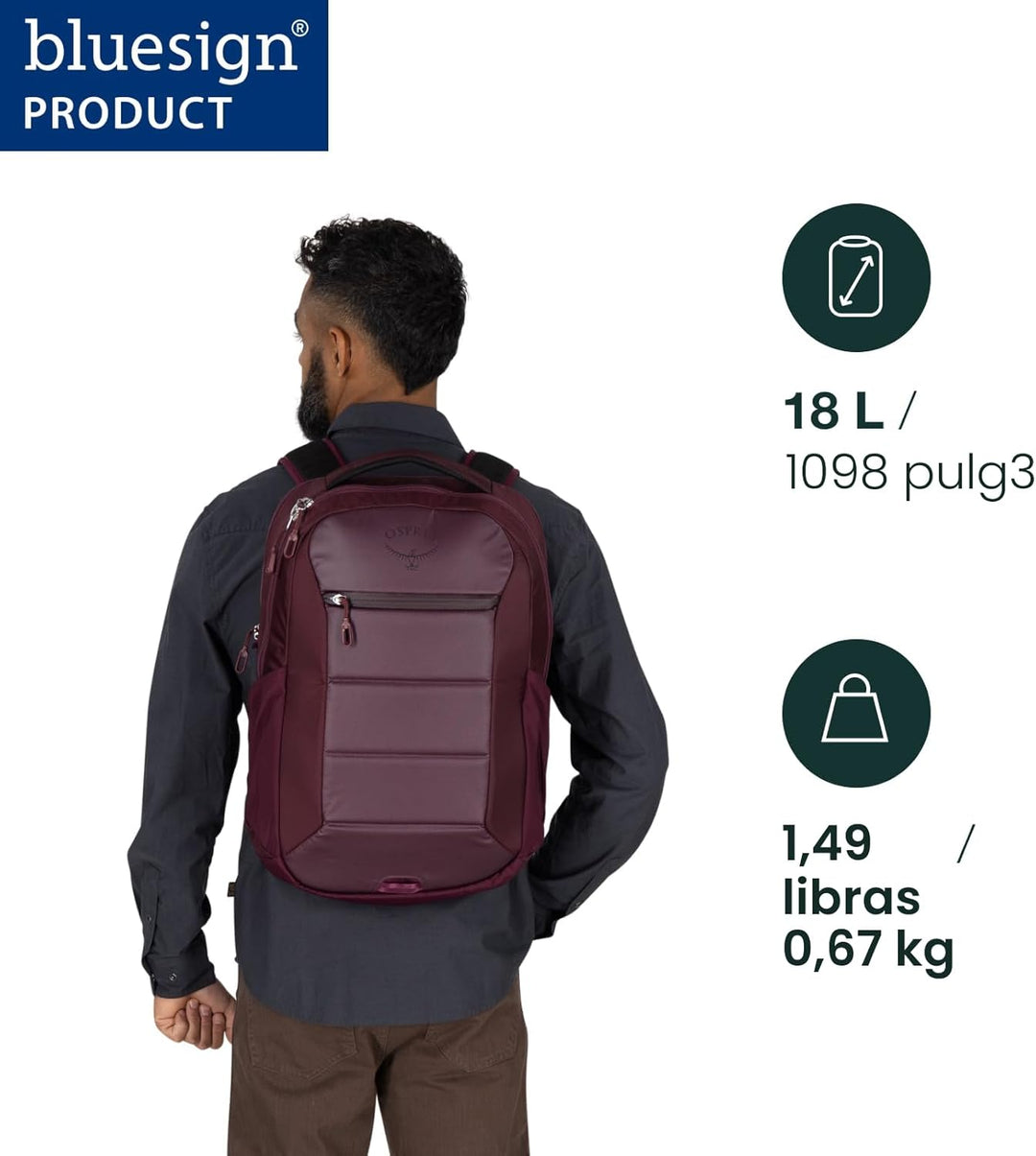 Osprey Ozone - Mochila para portátil con panel trasero ventilado Ai...