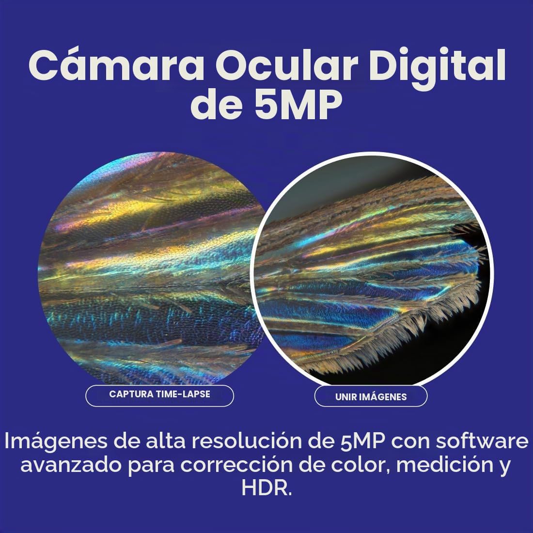AmScope Serie B120 Microscopio compuesto binocular LED para estudiantes y profesionales - aumento 40X-2500X - Incluye cámara USB de 5MP y cabezal Siedentopf