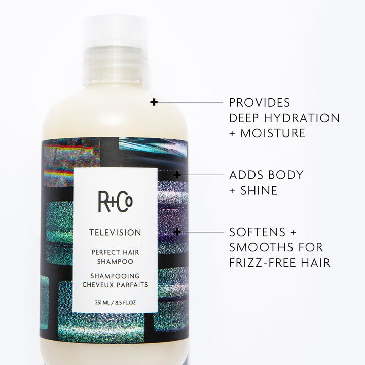 R+Co TELEVISION Perfect Hair Shampoo \u2013 Hydrating &amp; Smoothi...