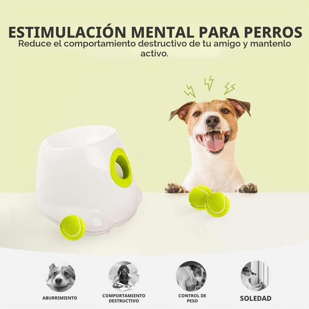 ALL FOR PAWS - Lanzador automático de bolas para perros, juguete interactivo para perros pequeños a medianos, máquina lanzadora de mascotas recargable para jugar en interiores y exteriores