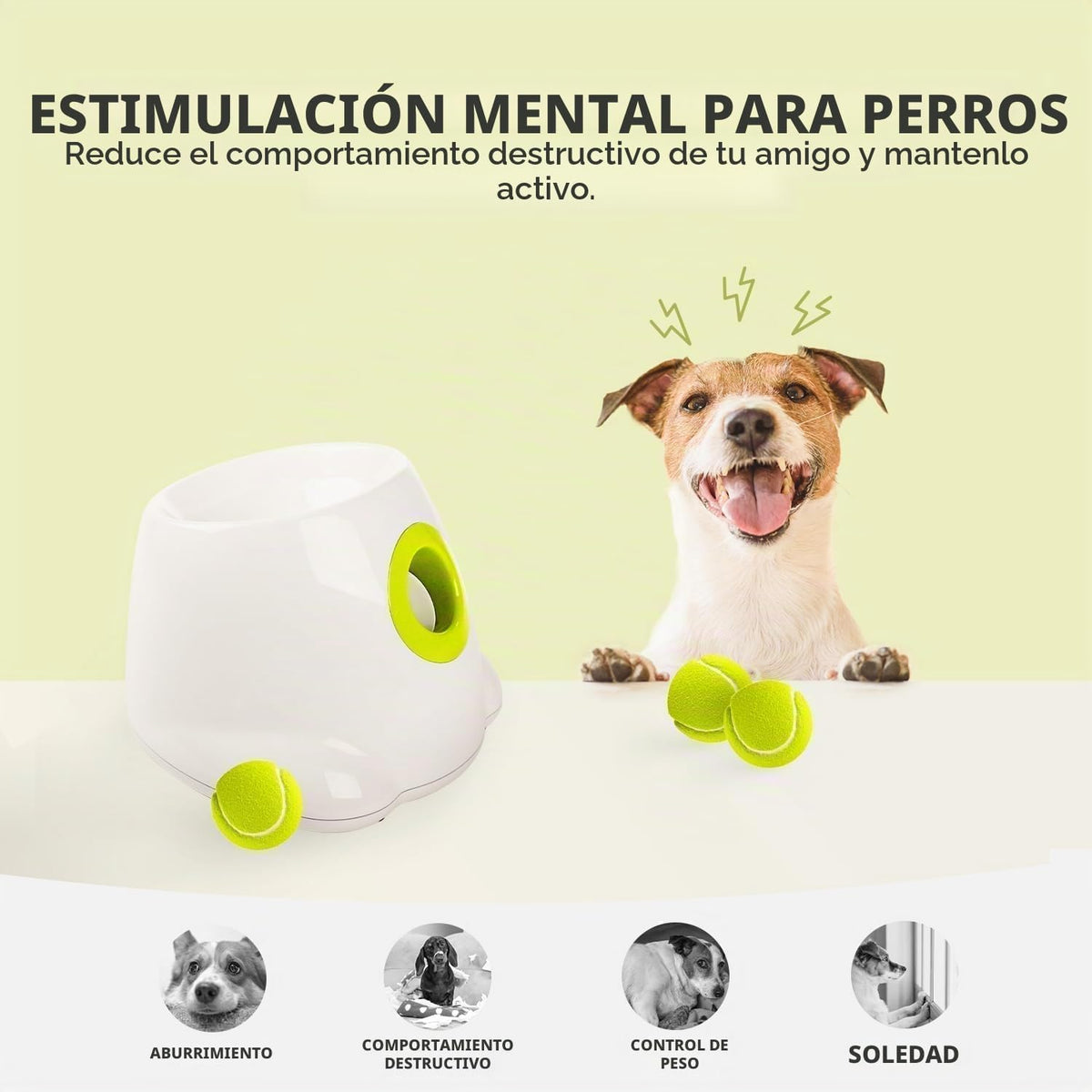 ALL FOR PAWS - Lanzador automático de bolas para perros, juguete interactivo para perros pequeños a medianos, máquina lanzadora de mascotas recargable para jugar en interiores y exteriores