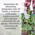 Garden of Life Vitamina Code RAW B-Complex - 60 cápsulas vegetarianas, 60 unidades (1 paquete)