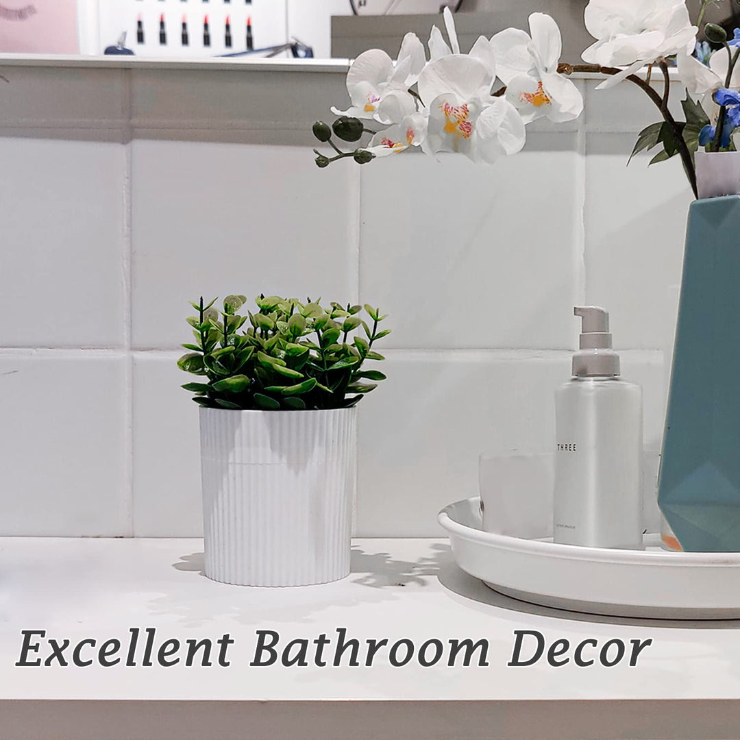Baño de dentadura, estuche invisible para dentaduras postizas diseñ...