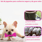 Beiker 20 Pack Pink Puppy Chew Toys, Dog Teething Toys para Puppies